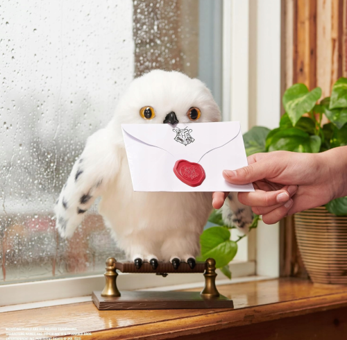 Zrzut ekranu 2025-05-06 175405.png